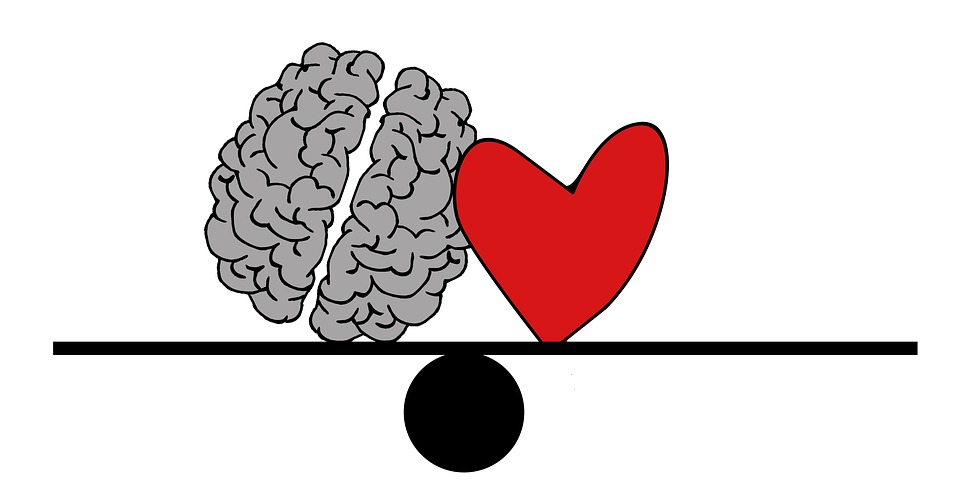 Build Brains by Building Relationships This February!